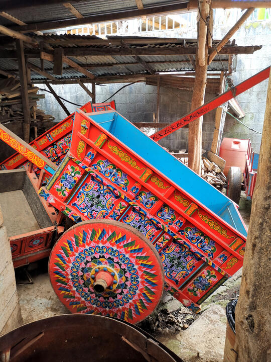 Since the mid-19th century, oxcarts were used to transport coffee beans from the Central Valley in the mountains to Puntarenas on the Pacific coast. Declared Intangible Cultural Heritage of Humanity by UNESCO in 1995. Nature and Wildlife in Costa Rica.