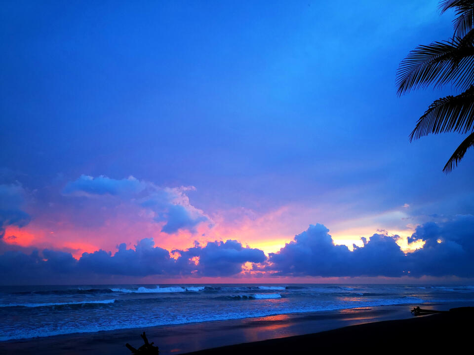 Enjoying the sunrise on our Caribbean coast is spectacular, in addition to the exuberant biodiversity found there. Narure and Wildlife in Costa Rica