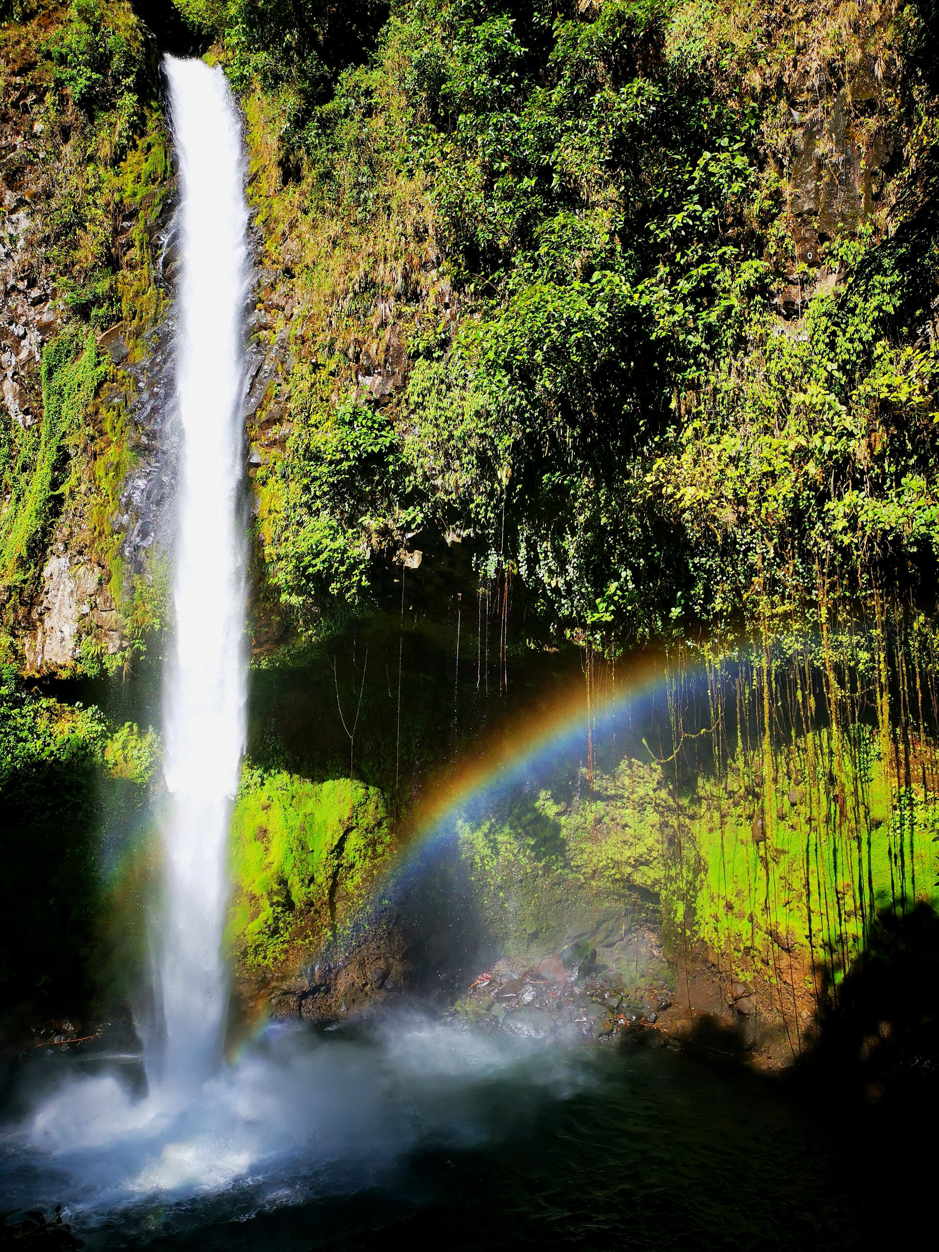 La Fortuna Waterfall In Costa Rica, it is possible to find waterfalls in different parts of the country. In many of them, you can swim in their natural pools. Nature and Wildlife in Costa Rica